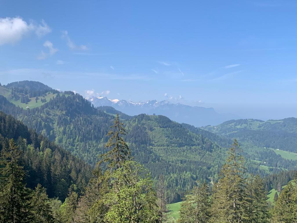 Boutique Hotel Corbetta - Spa 60M2 - La Montagne A 5 Minutes De L'Autoroute A12 Aux Paccots Sur Montreux - Nouveau Loft Familial - Profitez Du Lac Leman Et Des Montagnes En Meme Temps Les Paccots Exterior foto